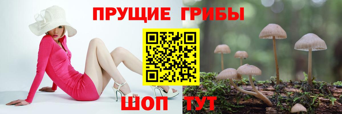 Арзамас  как найти   Галлюциногенные грибы GOLDEN TEACHER  Вход с VPN  Галлюциногенные грибы Psilocybe 